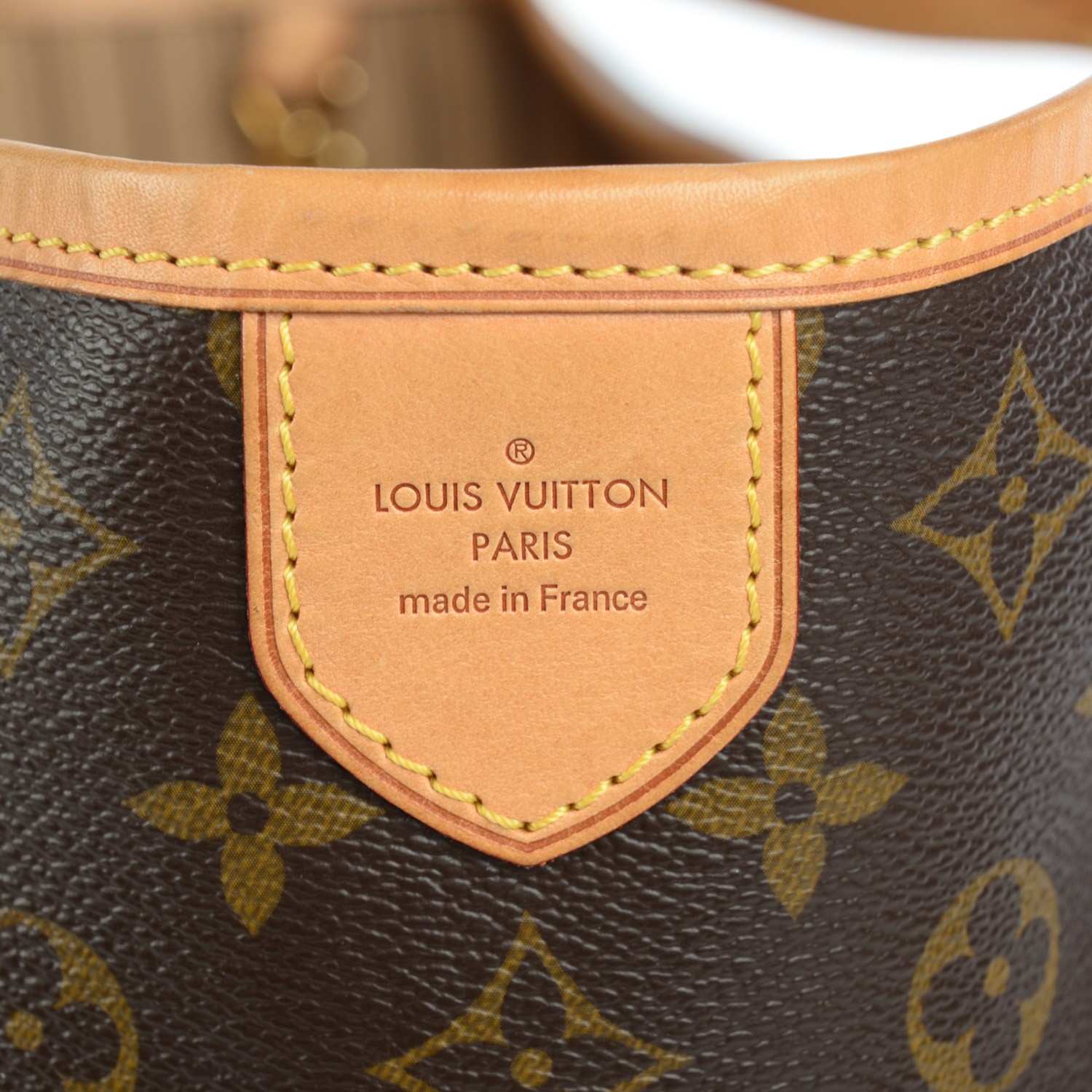 Louis Vuitton Monogram Delightful Gm