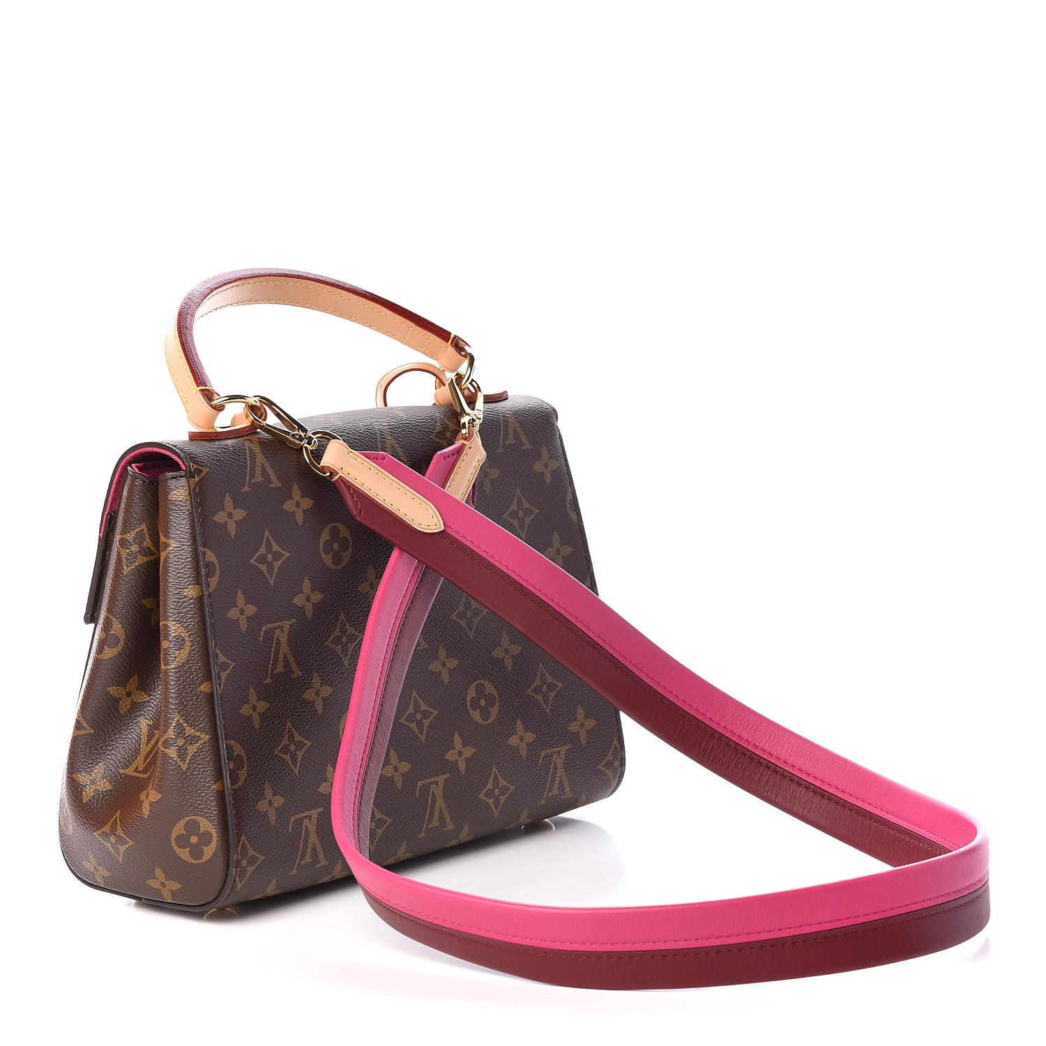 Lv Cluny Bag Review  Natural Resource Department