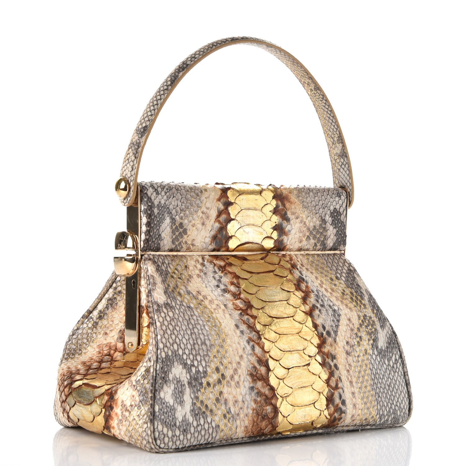 CHRISTIAN DIOR Python Babe Frame Bag 234582