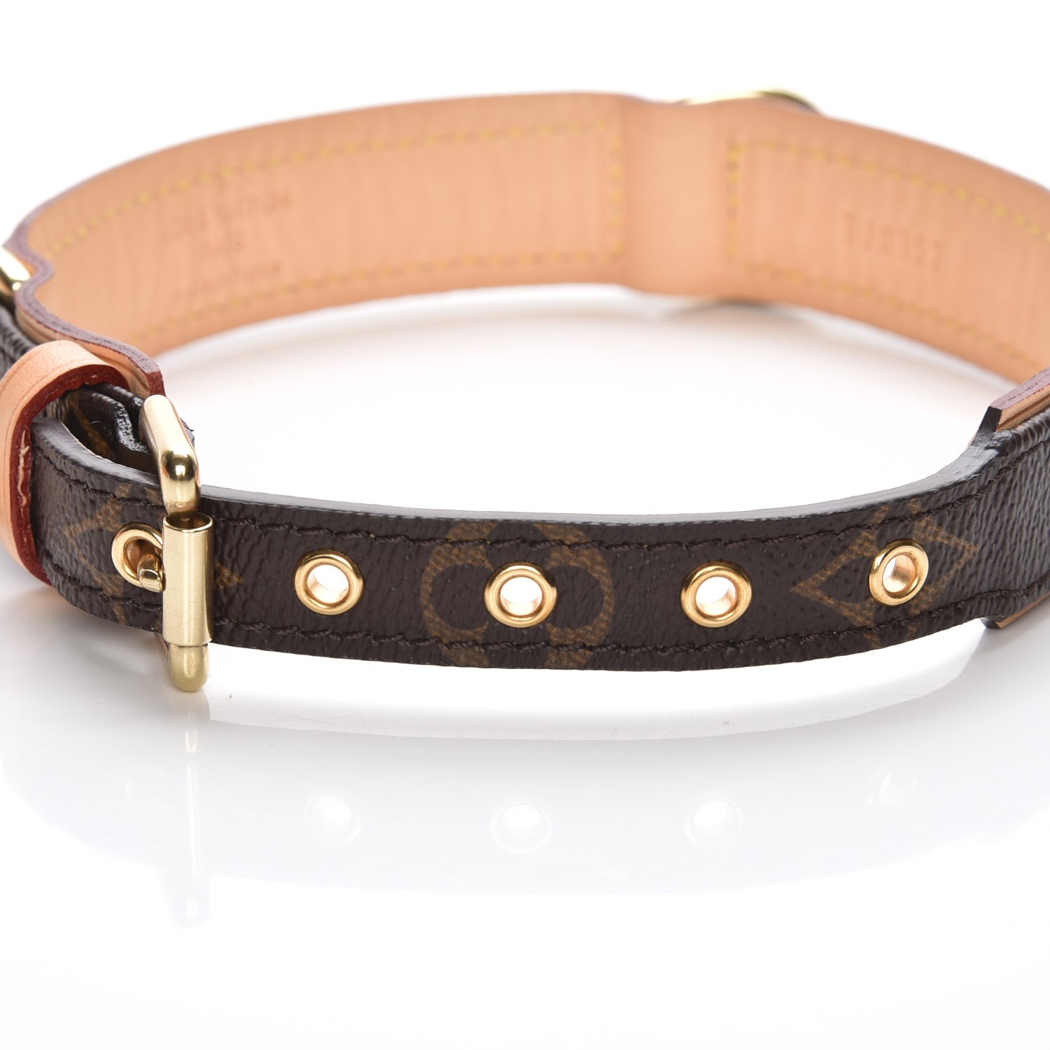 baxter dog collar price