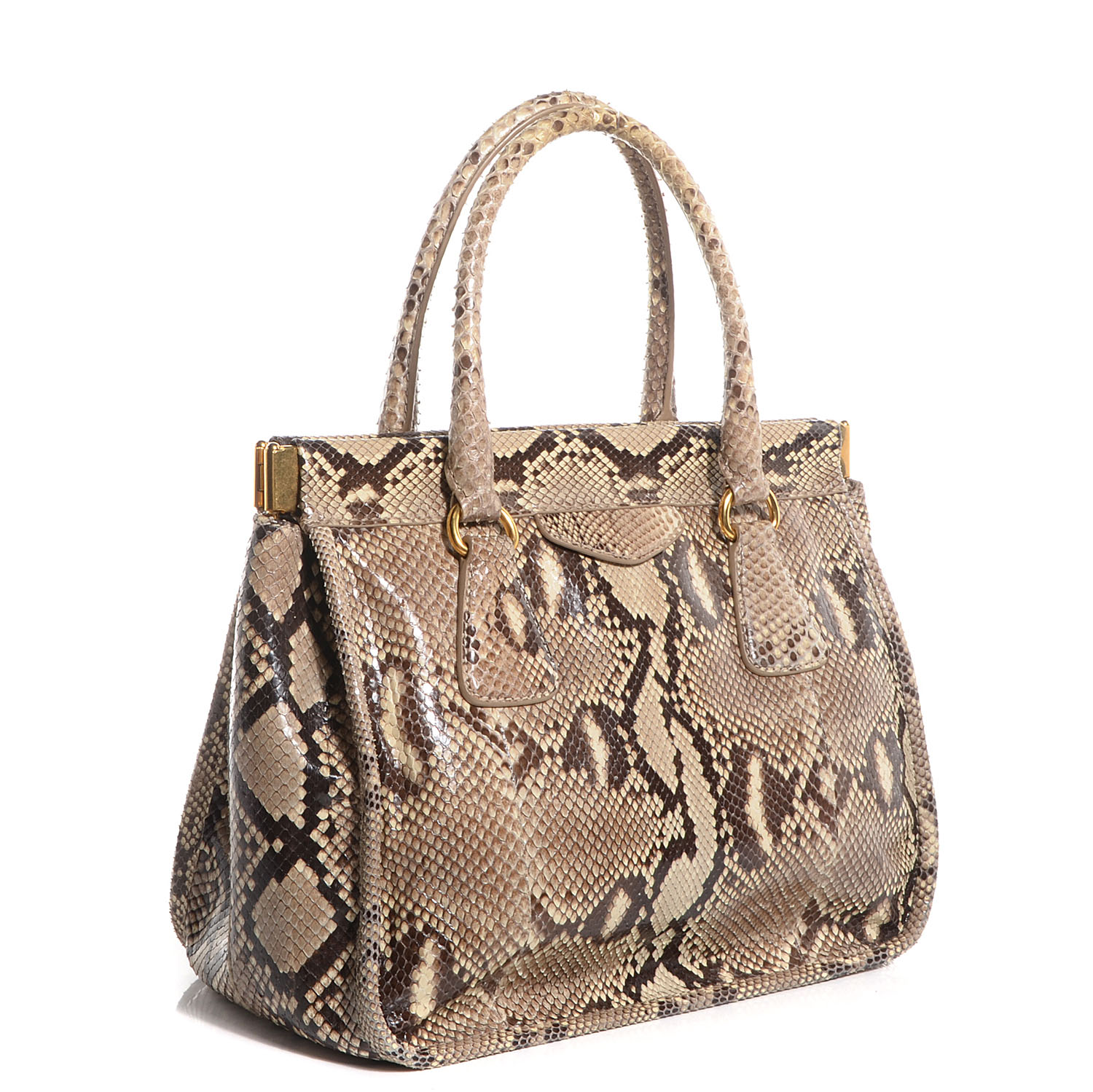 PRADA Python Frame Bag Roccia 81516