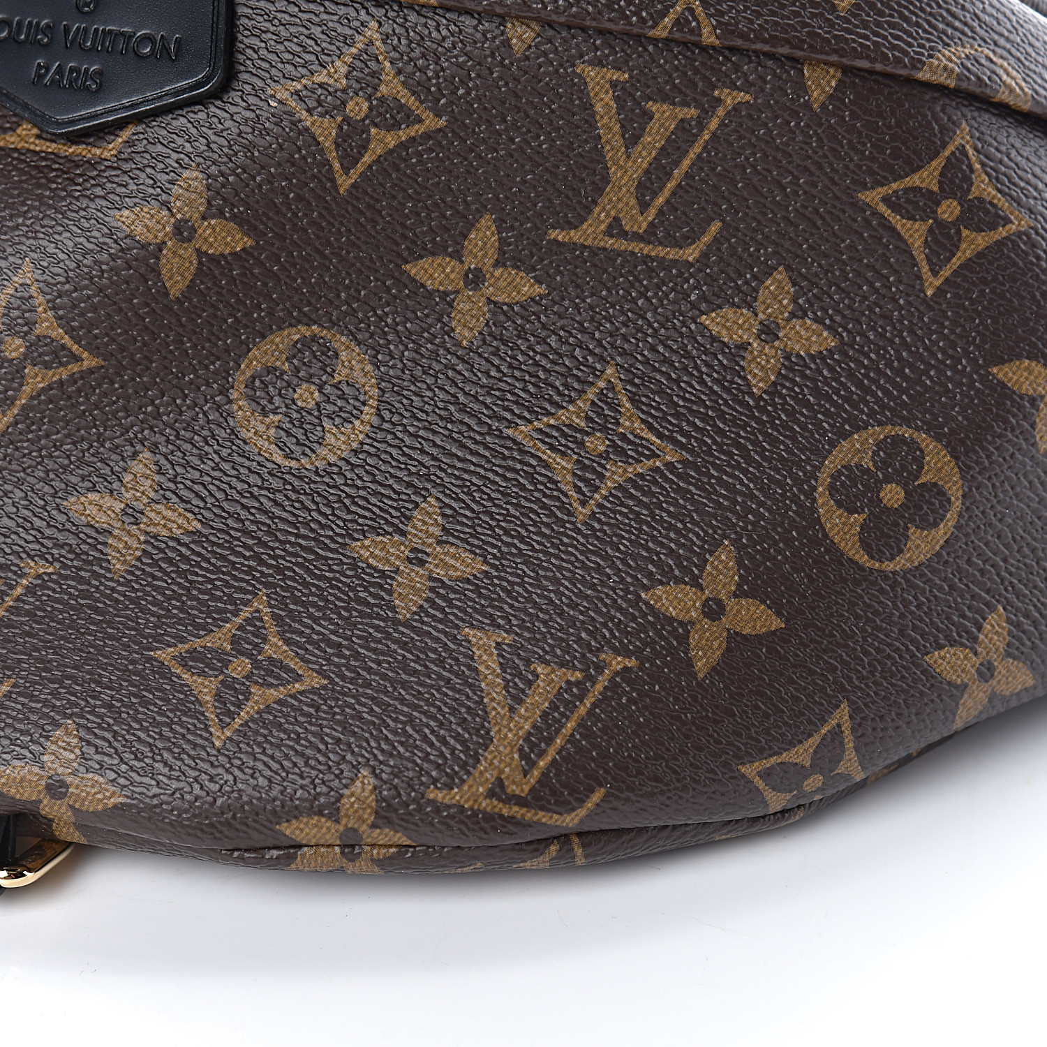 Louis Vuitton Monogram My LV World Tour Bumbag