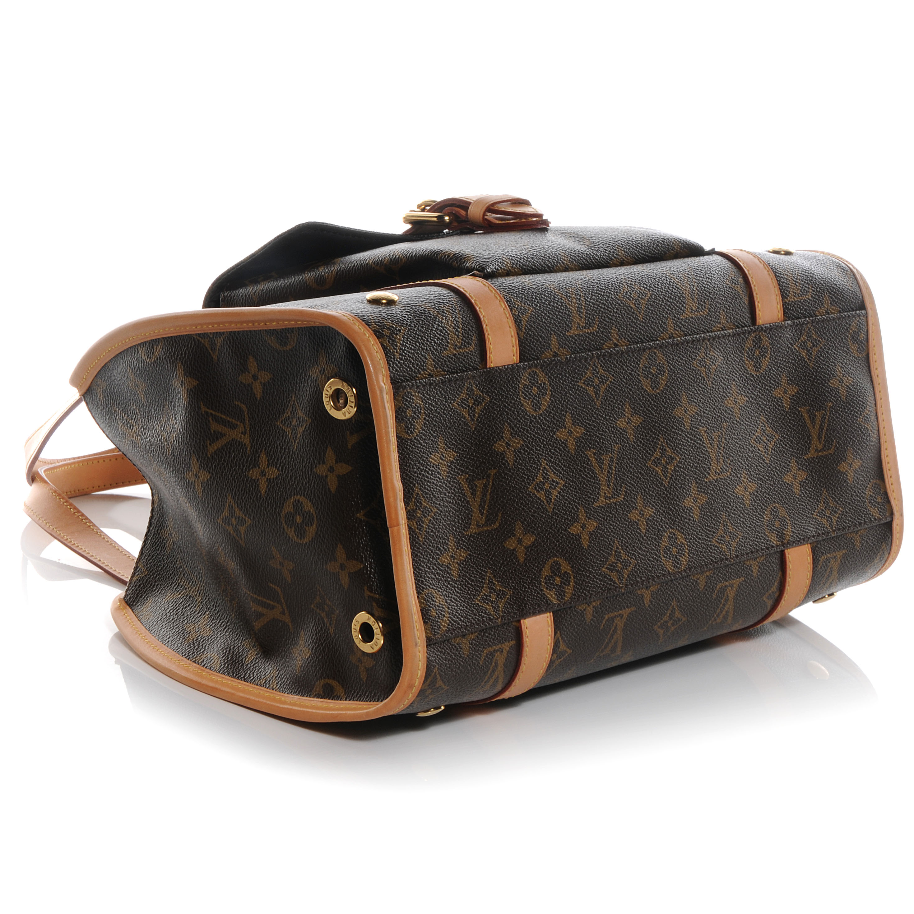 louis vuitton dog carrier baxter monogram pm brown