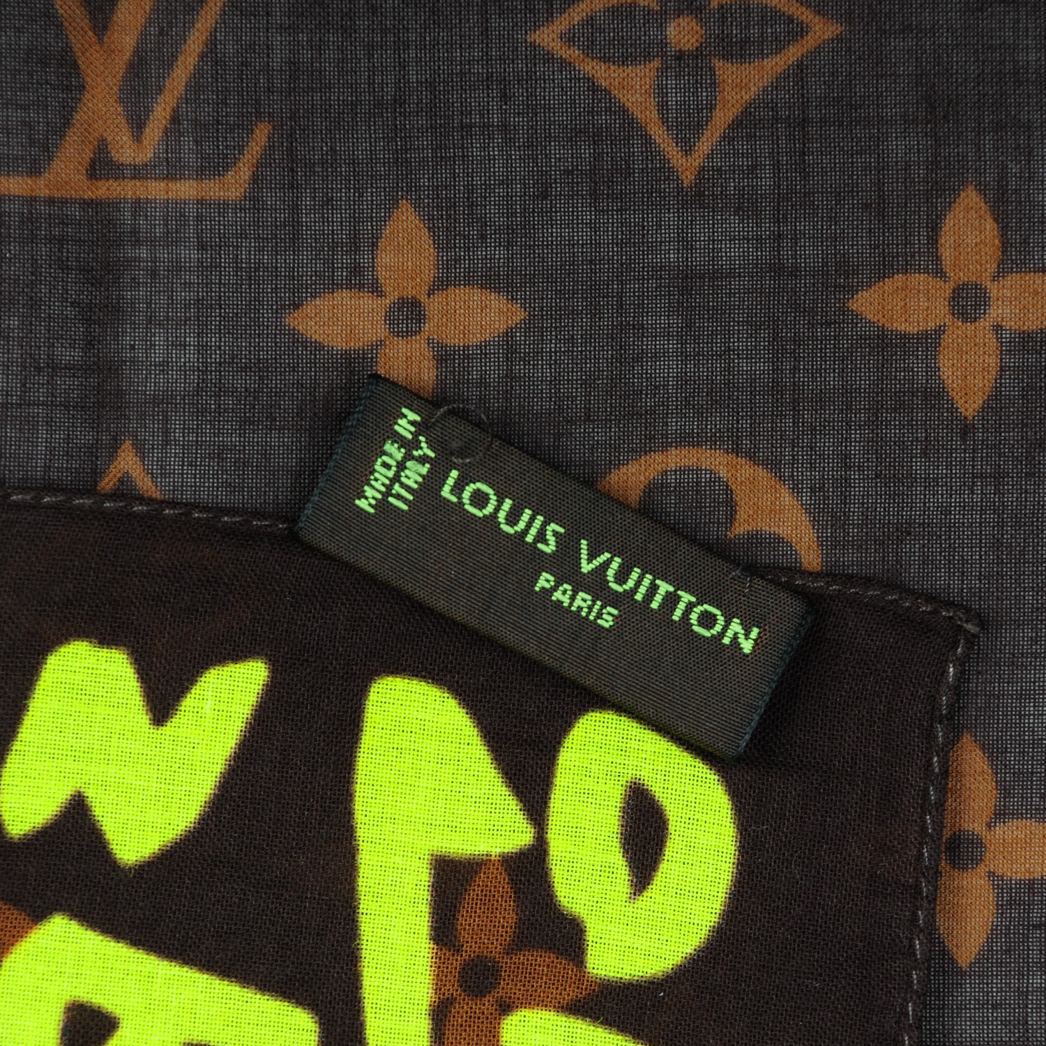 Louis Vuitton Graffiti  Natural Resource Department
