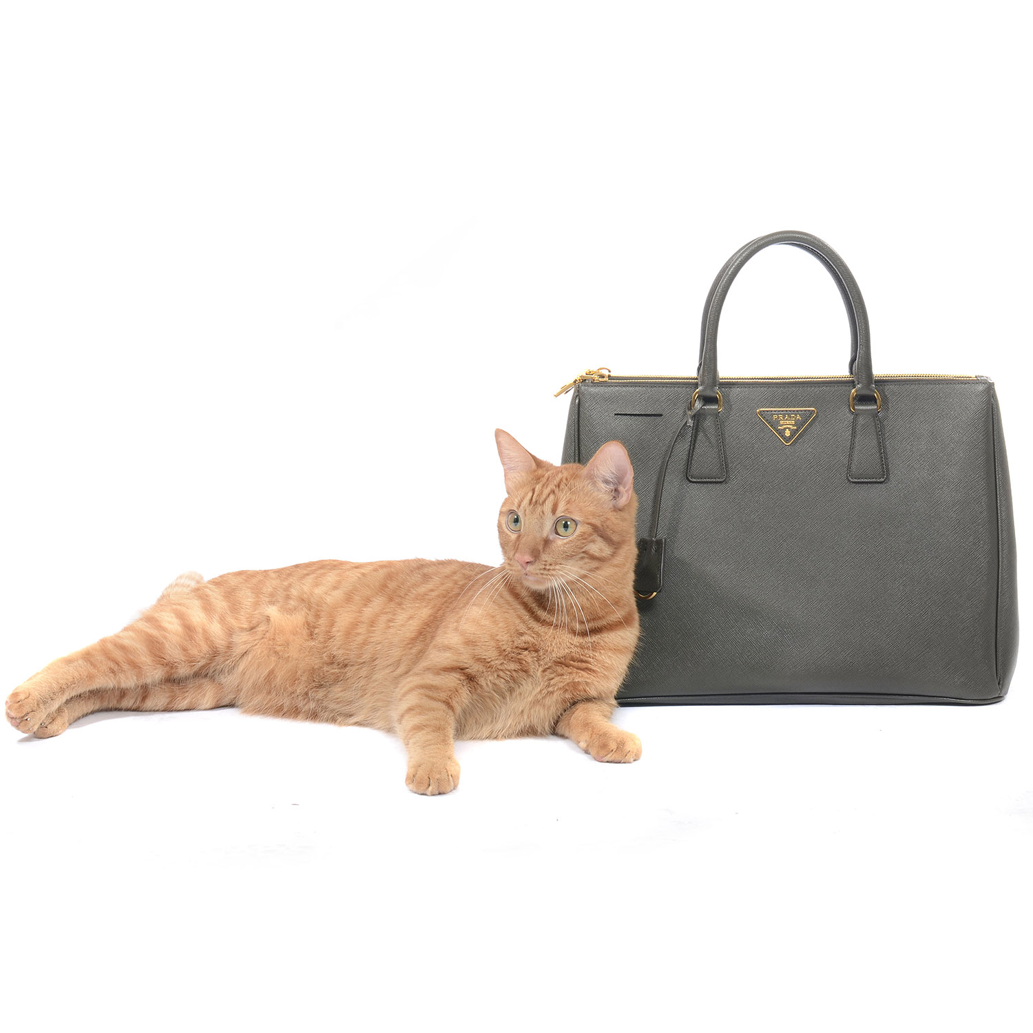 FASHIONPHILE Pet Picks Calendar 10004