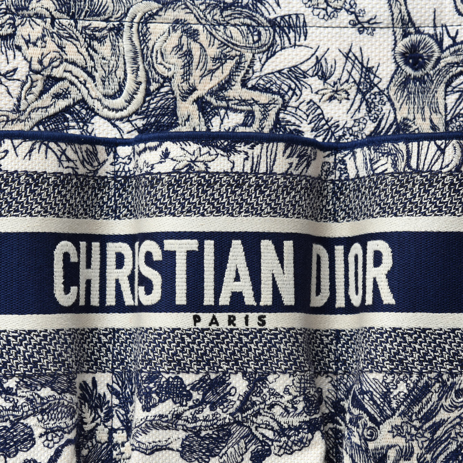 CHRISTIAN DIOR Canvas Embroidered Toile De Jouy Catherine Tote Blue ...