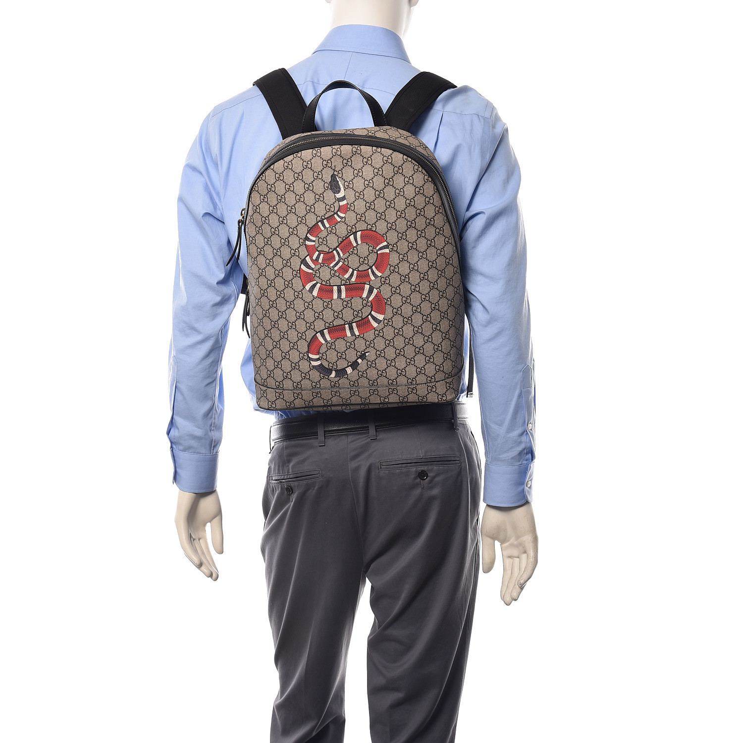 gucci backpack snake