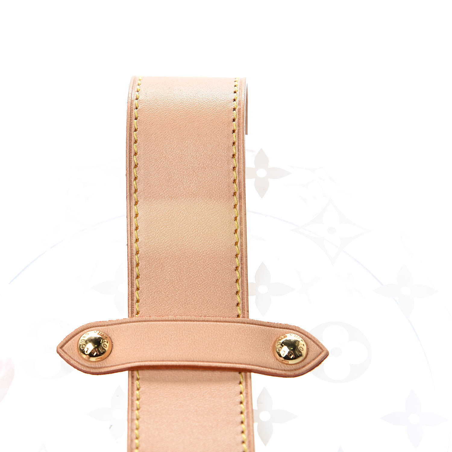 Louis Vuitton Box Scott Monogram Clear/Beige in Plexiglass/VVN Leather with  Gold-tone - GB