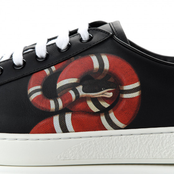 gucci ace kingsnake