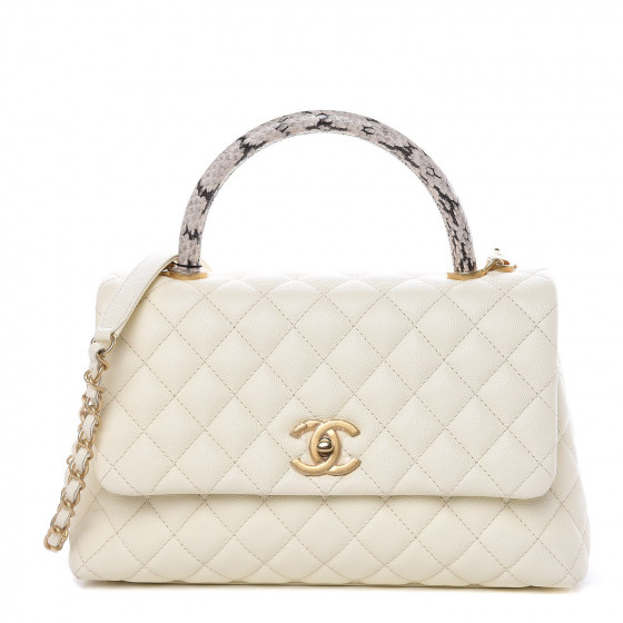 Chanel Small Coco Handle Bag In Elaphe Handle Nar Media Kit