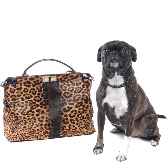 FASHIONPHILE Pet Picks Calendar 10004