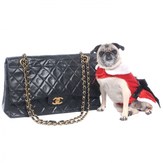 FASHIONPHILE Pet Picks Calendar 10004