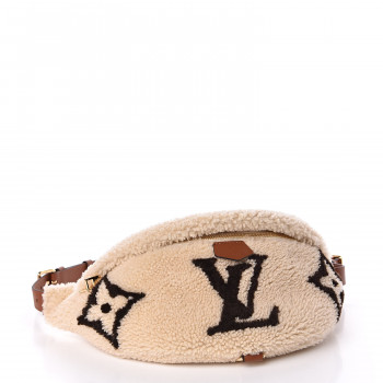 louis vuitton bumbag teddy