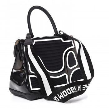 delvaux champion bag